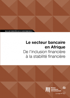 Le secteur bancaire en Afrique : De l’inclusion financière à la stabilité financière