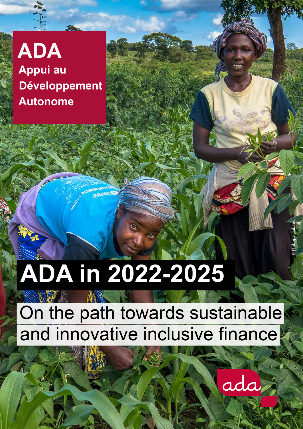 On the path towards sustainable and innovative inclusive finance (long version)