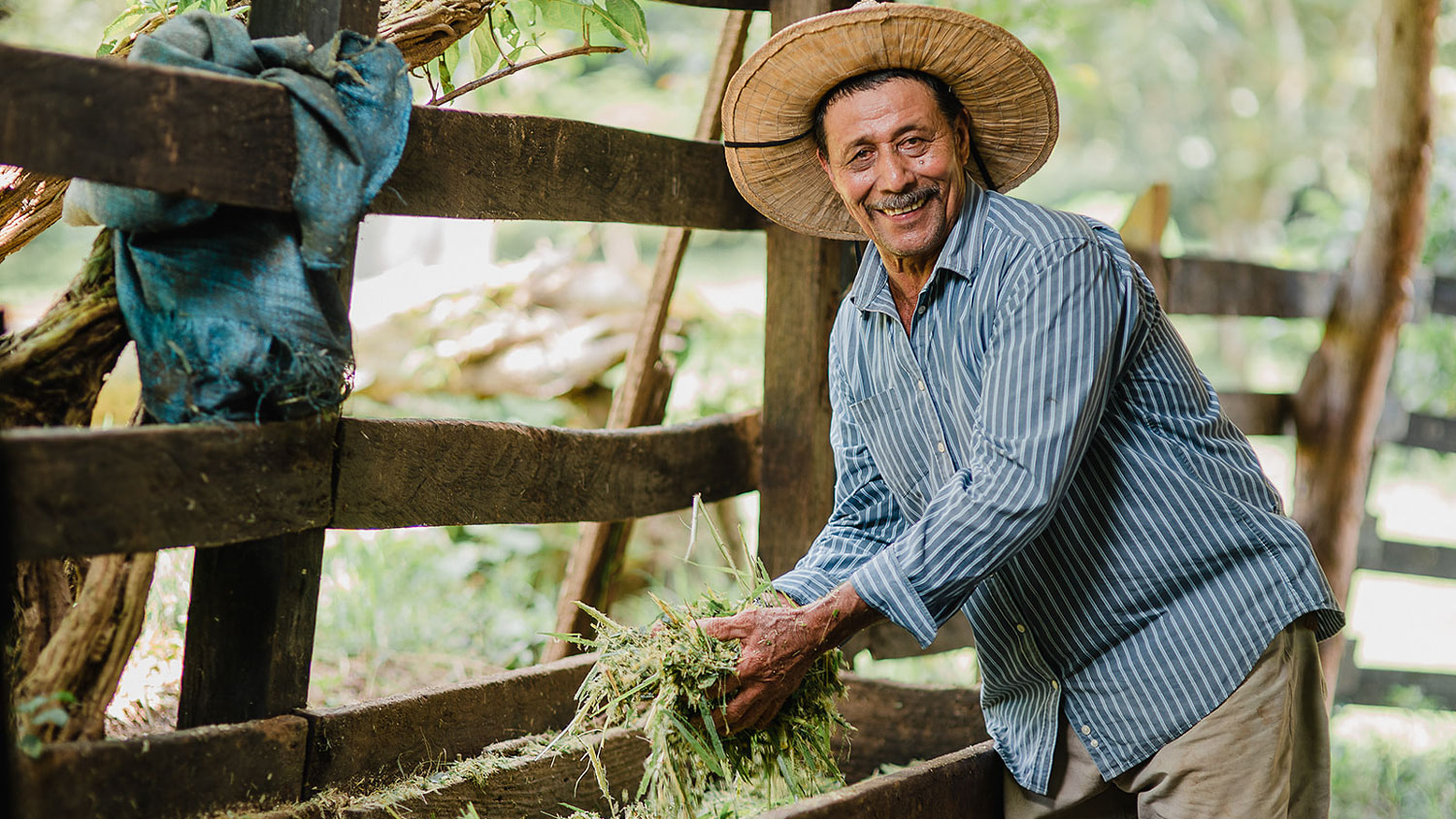 Exploitants agricoles en Amérique centrale.