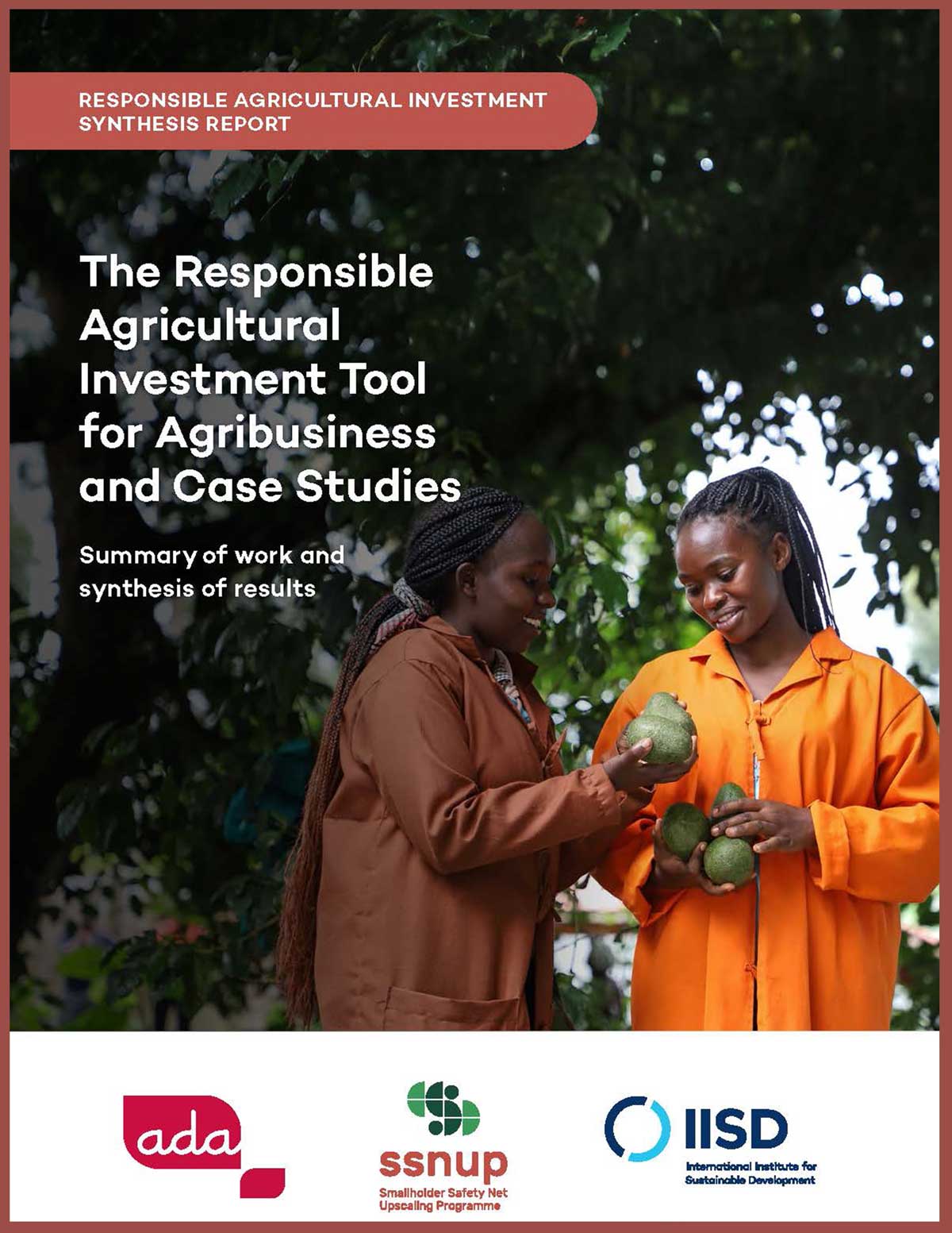 Cover RAI synthesis report - The Responsible Agricultural Investment Tool for Agribusiness and Case Studies