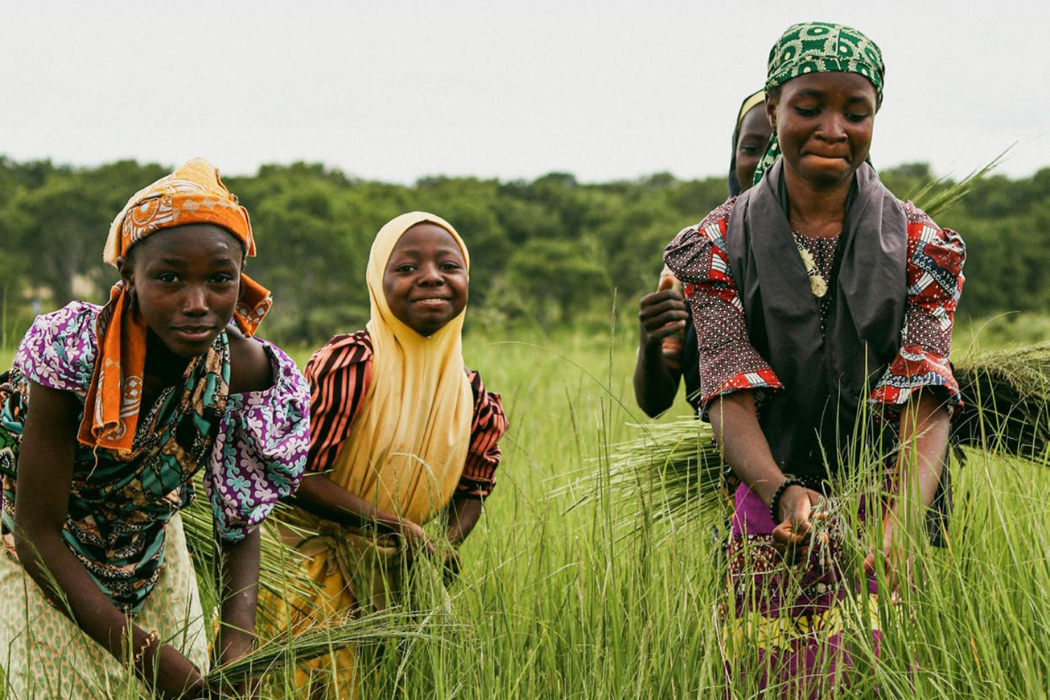 Trois femmes africaines dans un champs