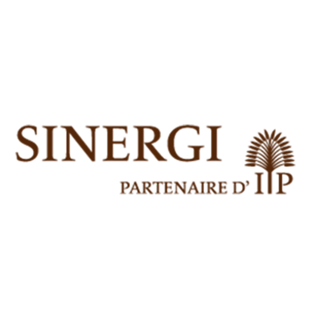 SINERGI