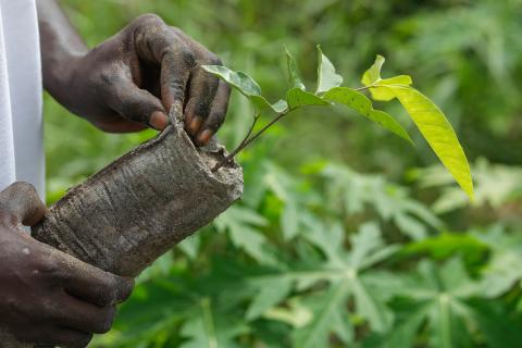 Jeunes entrepreneurs Sénégal CVAF